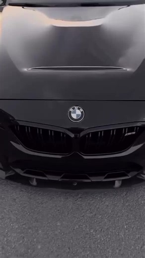 Alejandro Roa Bermudez (@alejandro.roa.ber)’s videos with оригинальный звук - BMW_KING