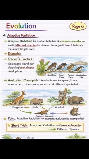 Evolution shorts notes 📝#handwriting #youtubeshorts #shortvideo