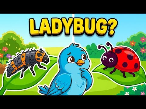 Life Cycle of a Ladybug 🐞 | Fun Science for Kids | Learn with Animation!