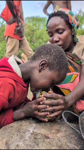 Strange scene of turtle hunting and eating!🐢#africa #wildlife #shorts