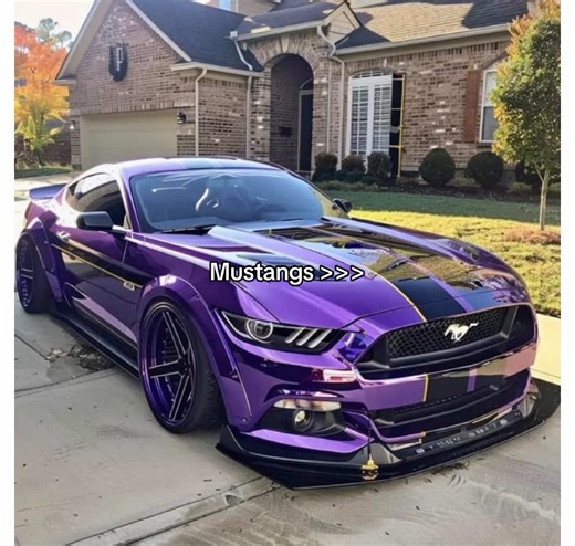 #mustangs #cars #nelly #90s #fyp | mustangs