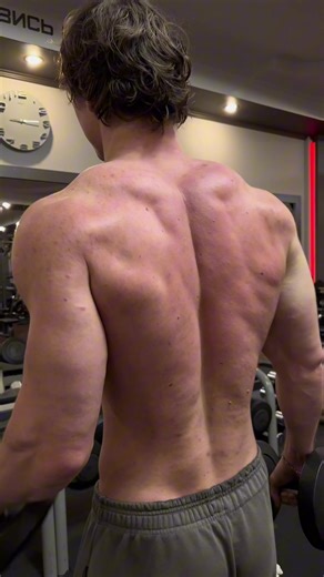 var var var. | david laid song