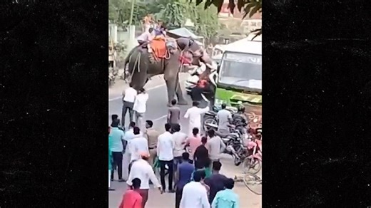 Indian Elephant Goes on Rampage, Battering Car and Bus on Video