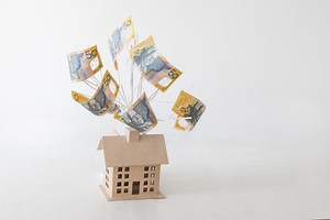 Home Equity Access Scheme: How The 'Reverse Mortgage' Plan Works