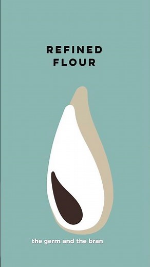 Whole Wheat vs White Flour Explained
