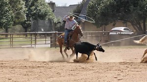 33K views · 1.4K reactions | Watch this practice session with Travis Graves and Dustin Egusquiza. Want to watch more practice sessions? Check them out: bit.ly/PracticeRuns | Roping.com | Facebook