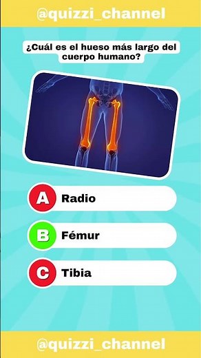 📚 Pon a prueba tu memoria con esta trivia #quiz