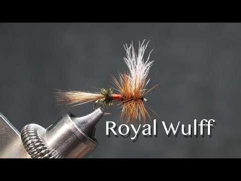 Royal Wulff: a Lee Wulff dry fly pattern
