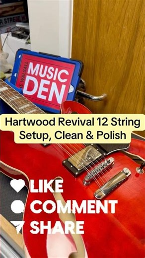 12-String Electric Guitar Setup & Polish | Hartwood Restoration 🎸✨