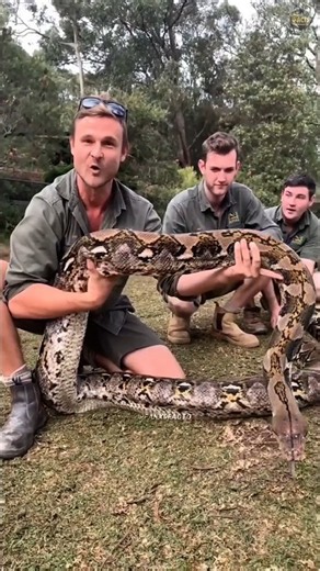 Python Teeth Check By Polythene Sheet 😳? #shorts