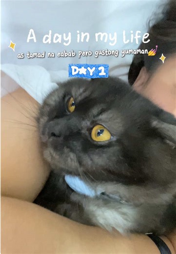 Day 1: staring my vlogging journey, yeaaurchh💅 #adayinmylife #minivlog #jillianndiaries #fyp