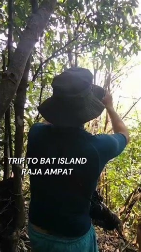 TRIP TO BAT ISLAND RAJA AMPAT