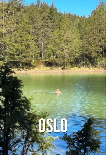 Norges Grønneste Vann: Oppdag Mysutjern i Kongsberg