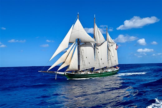 World Ocean School’s Summer Ambassador Program Returns this Summer