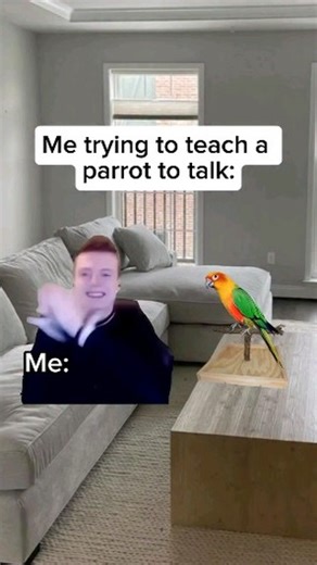 Karvahal on Instagram: "Quick Apple Syrup 🍎🍯 Ingredients: * 4 cups chopped apples (peeled/cored) 🍎🔪 * 2 cups water 💧 * 1-1.5 cups sugar 🍬 * Optional: Cinnamon stick 🌟, lemon juice 🍋 Instructions: 1. Simmer apples: Cook chopped apples and water in a pot until very soft (20-30 mins). 🔥🍎 2. Strain: Pour apple mixture through a sieve into a bowl, pressing to get liquid. 🥄💧 3. Make syrup: Return liquid to a clean pot. Add sugar and optional cinnamon/lemon juice. 🍯🍋 4. Boil: Boil gently,