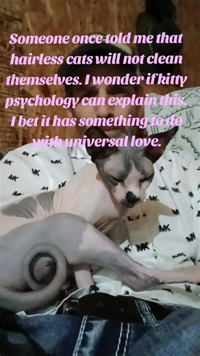 Christopher (@harris01chrostopher)’s videos with Intertwined - Jonny Stanback