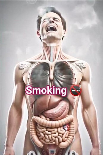 🚭 Smoking Facts You MUST Know!