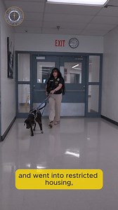 Indiana Department of Correction on Reels