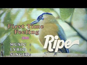 Ripe - First Time Feeling - Official Karaoke Video