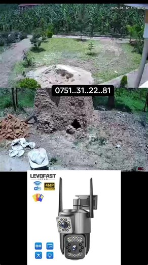 Modan Store: Your One-Stop Shop for Creators