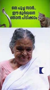 ലെ പൂച്ച സാർ.. ഈ മൂർഖനെ ഞാൻ പിടിക്കാം #snakemaster #vavasuresh #cobra