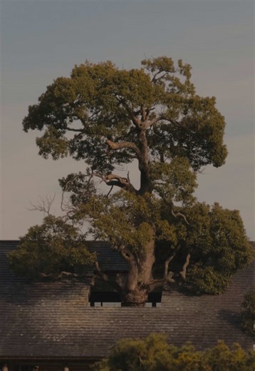 La Collina: Un viaje arquitectónico único