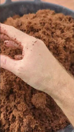 Coconut Coir and Compost seed starting Blend