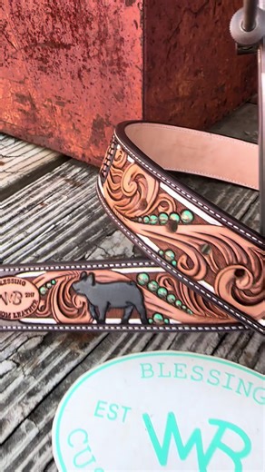 Show Pig Moments for FFA Girls: A Colorful Showcase