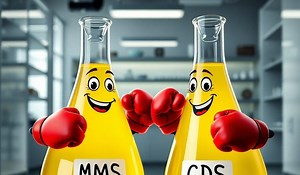Is CDS (Chlorine dioxide - ClO₂) when ingested is rapidly converted to chlorite (ClO₂-) ?