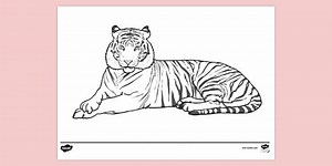 Tiger Colouring Sheet