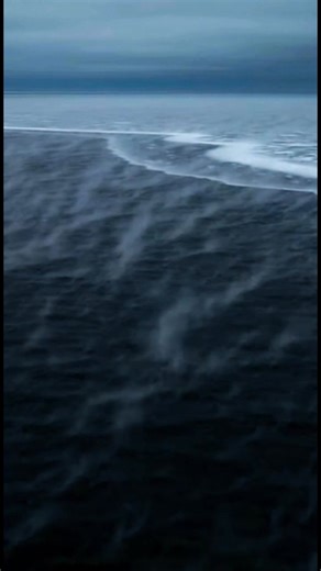 1.4K views · 1.9K reactions | ❄️流 HERE COMES THE FREEZE AND IT’S...