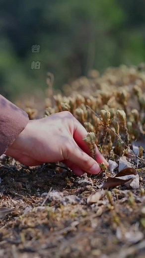 Exploring Handwork Techniques and Inspiration