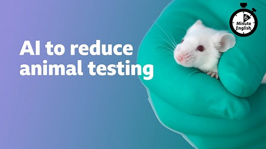 BBC Learning English - 6 Minute English / AI to reduce animal testing