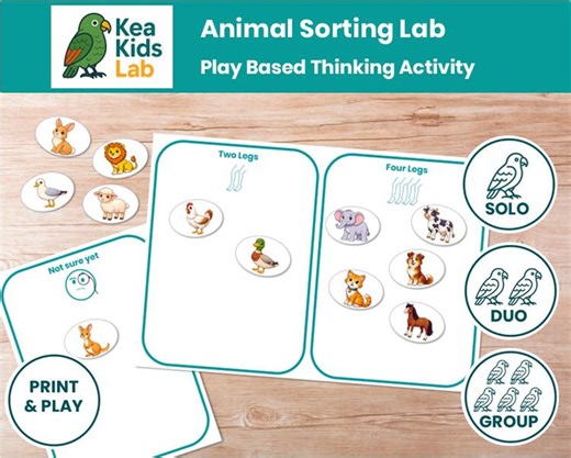 Animal Sorting Lab - Play Based Thinking Activity - Etsy
