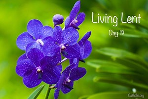 9.1K views · 2.7K reactions | 'LIVING LENT' Series We're really...