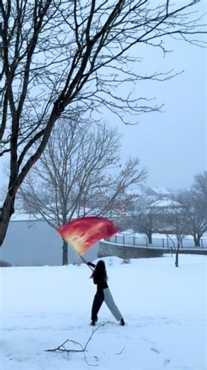 I love this song #snow #colorguard #winterguard #frozen #flag | colorguard