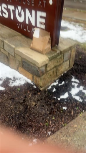 Exploring the Wonder of Nature and Discipline