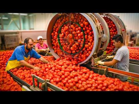Most Amazing and Satisfying Machines in Action