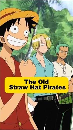 What Will Happen When the Straw Hats Get Old? #shorts