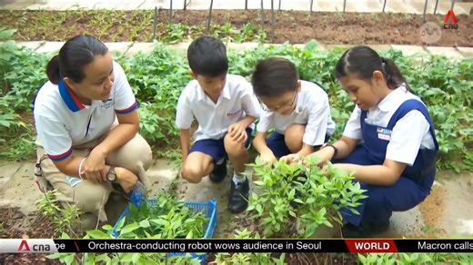 Sustainable tours, urban farming among events under Go Green SG