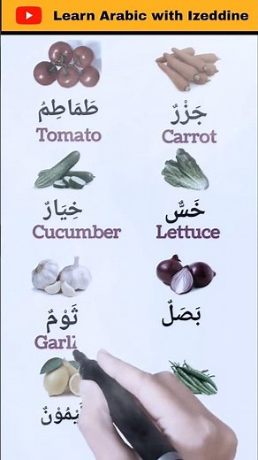 ALL the Arabic Basics You Need - Improve your Arabic