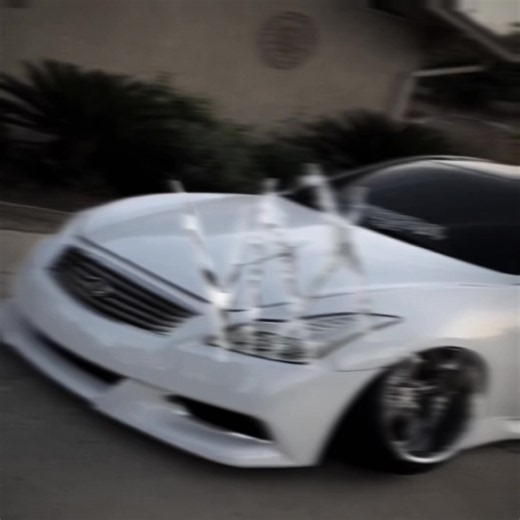 Clips: @Bagged || #edit #static #static_club #fypシ゚viral #staticlifestyle