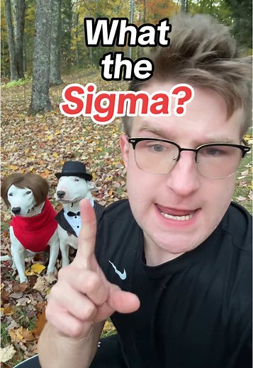 Brain Rot Mash: Sigma Ohio Rizz Skibidi Meme