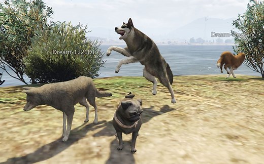 【乐美解说GTA5】游戏彩蛋迷幻仙人掌 吃完我们幻变成了各种动物