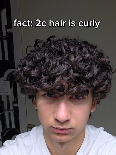 Understanding 2C Curly Hair Types