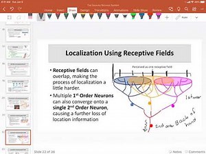 07 Receptive Fields