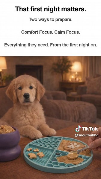 Helping Your Rescue Dog Settle in During Their First Night