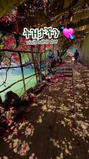 Memories from Bahirdar: Grade 12 Highlights