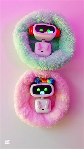 Twins of Emo Family: Aibi Robot Experience