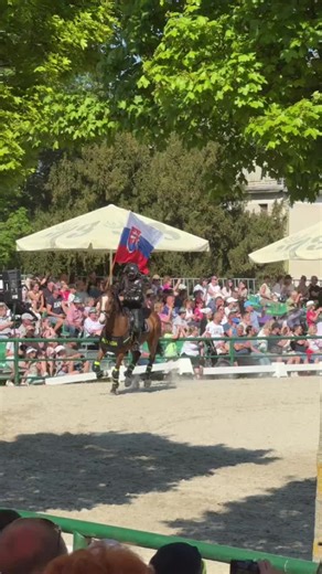 maria🥳 (@chevalmeme)’s videos with оригінальний звук - ᶫᵒᵛᵉˢᵉᶰˢˢˢ